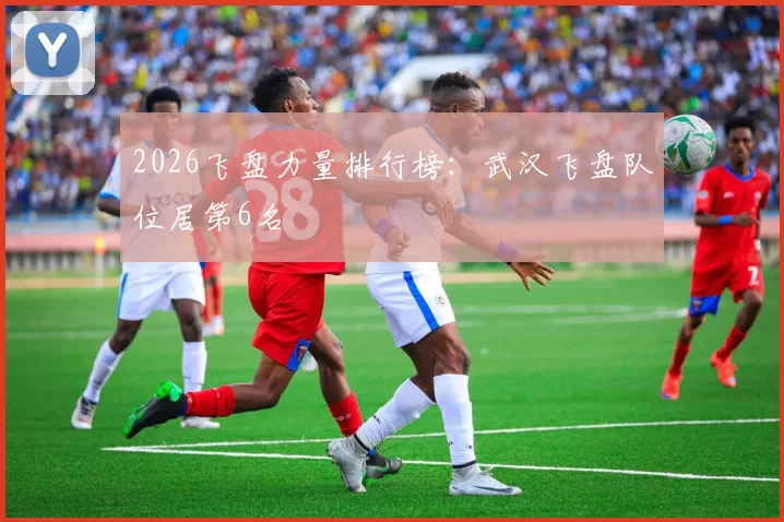 2026飞盘力量排行榜：武汉飞盘队位居第6名