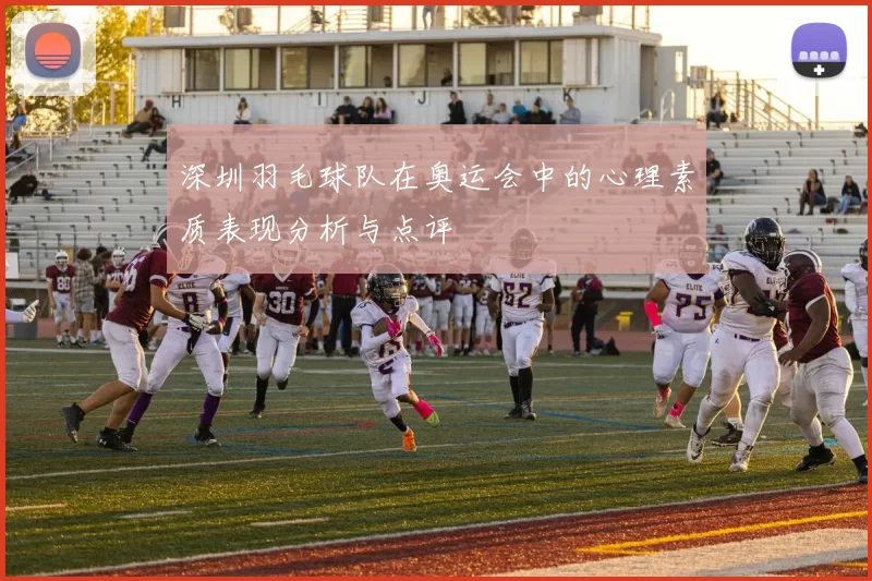 深圳羽毛球队在奥运会中的心理素质表现分析与点评