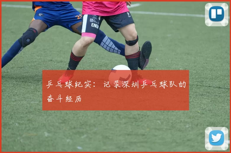 乒乓球纪实：记录深圳乒乓球队的奋斗经历