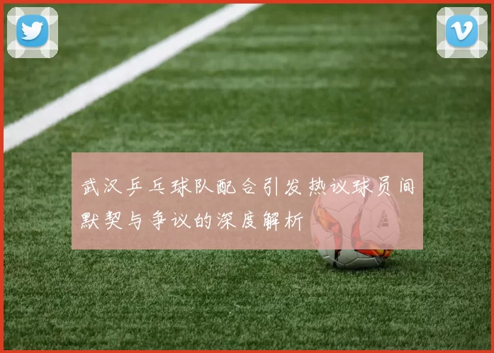 武汉乒乓球队配合引发热议球员间默契与争议的深度解析