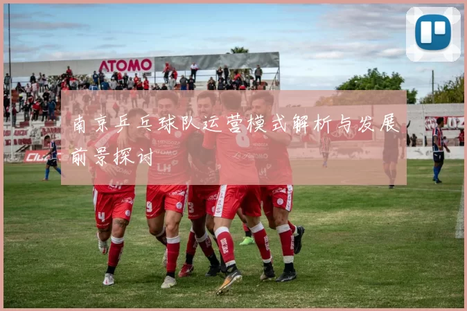南京乒乓球队运营模式解析与发展前景探讨